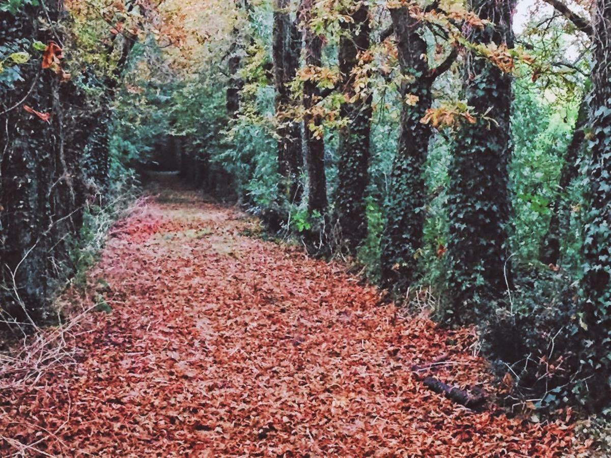 Gites Les Demeures De Valette Azay-le-Brule ภายนอก รูปภาพ